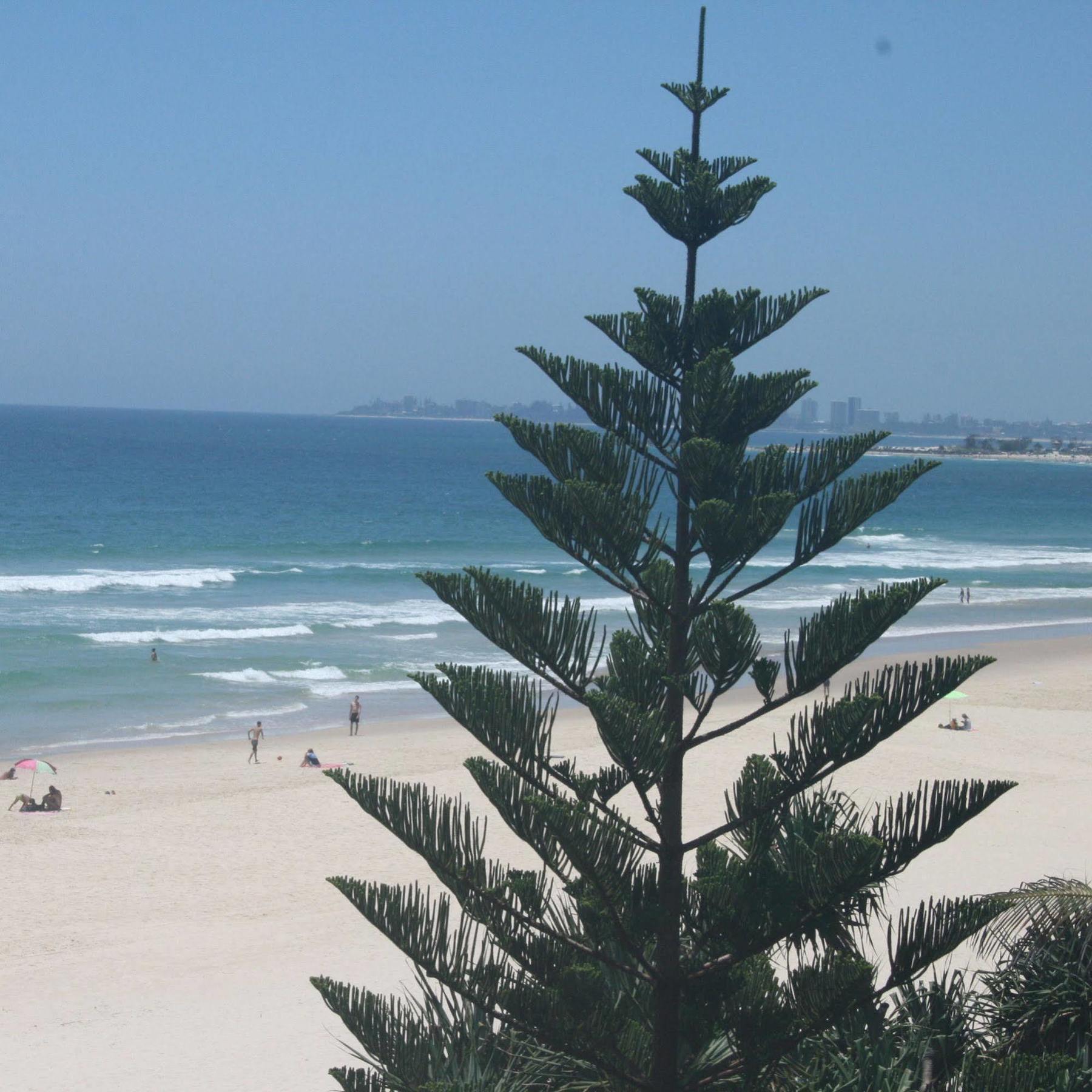 Surfers Horizons Aparthotel 4*